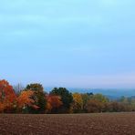 Herbstmorgen