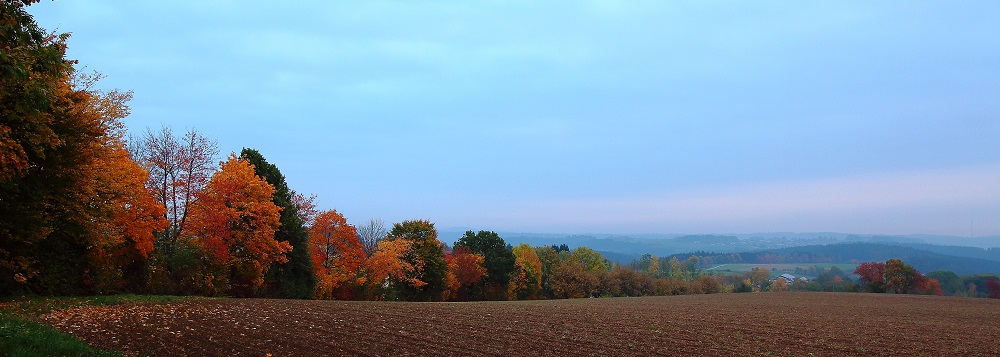 Herbstmorgen