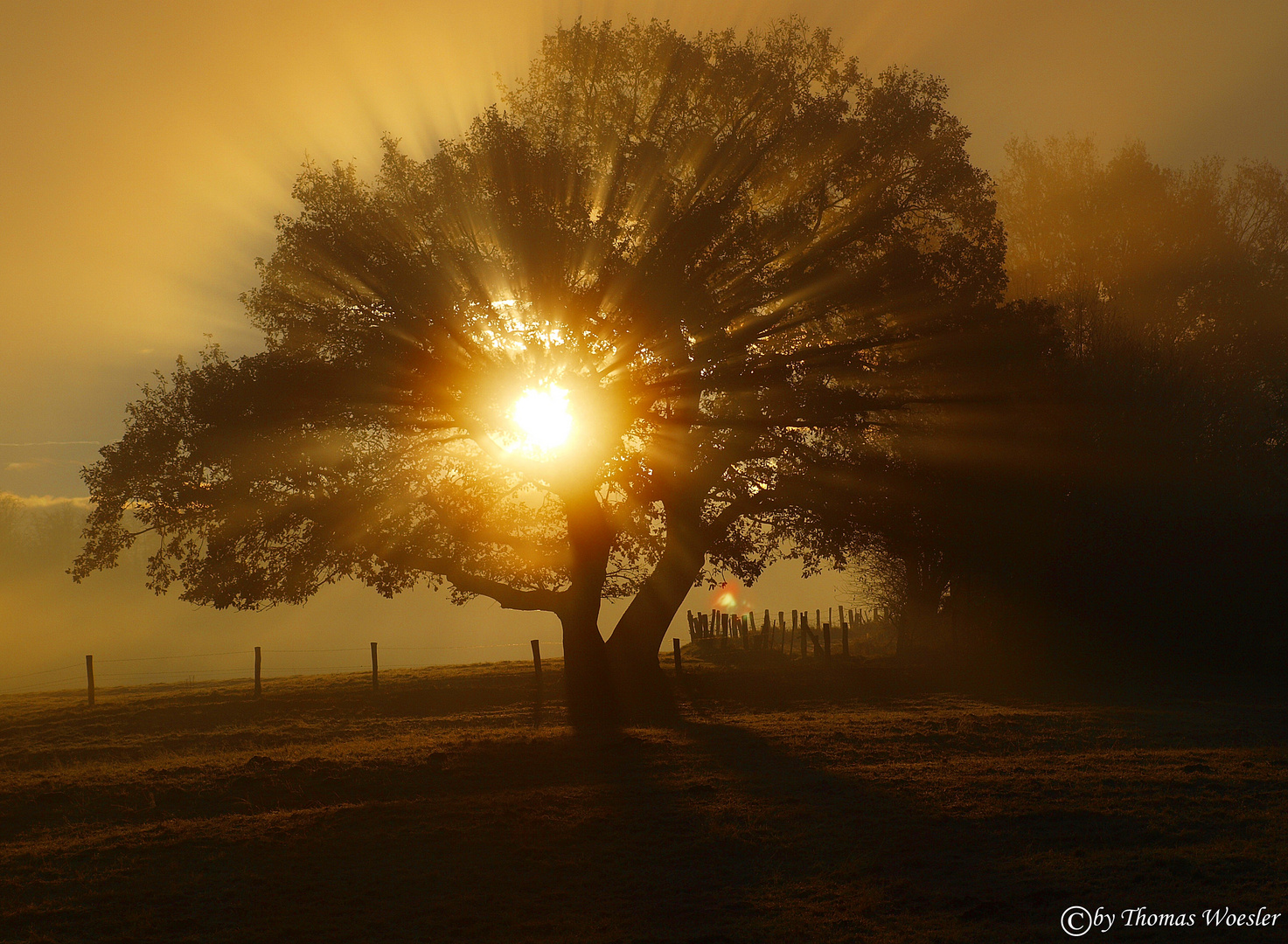 Herbstmorgen !