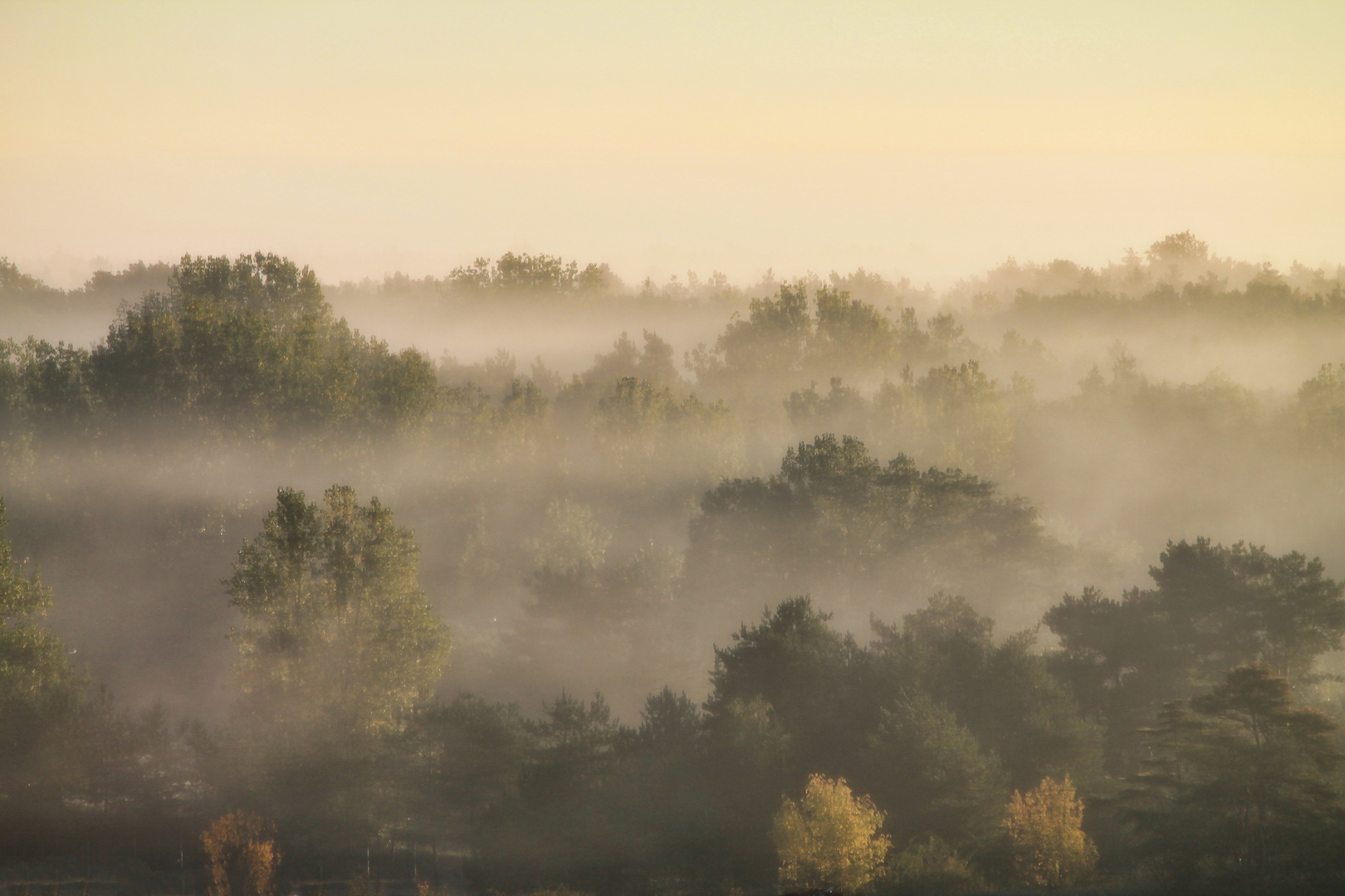 Herbstmorgen