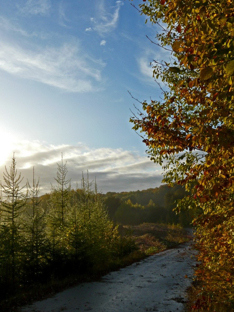 Herbstmorgen