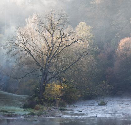 Herbstmorgen ...