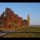 Herbstmorgen - 6