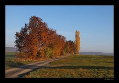 Herbstmorgen - 6