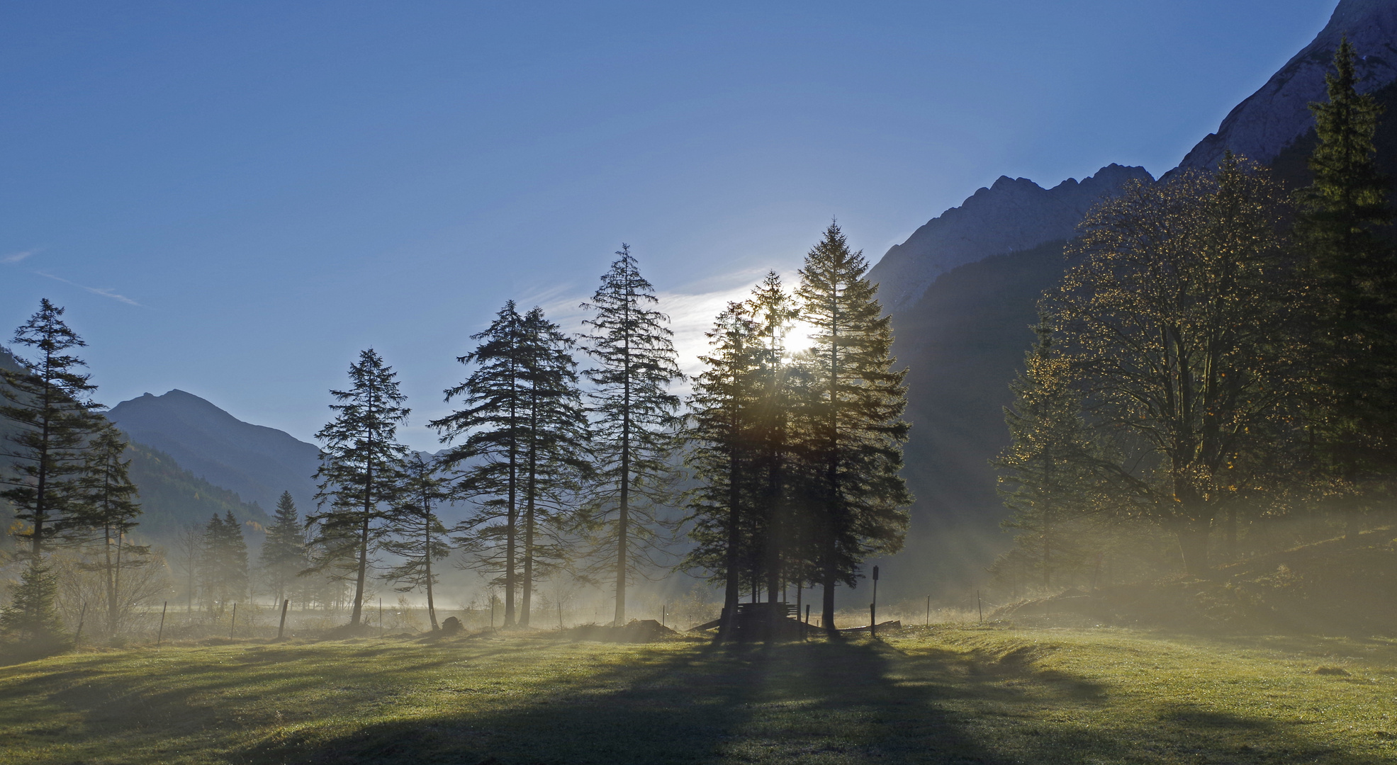 herbstmorgen