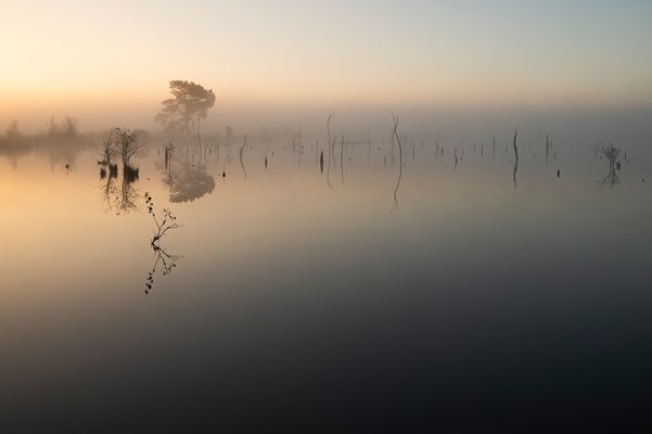 ____Herbstmorgen_______