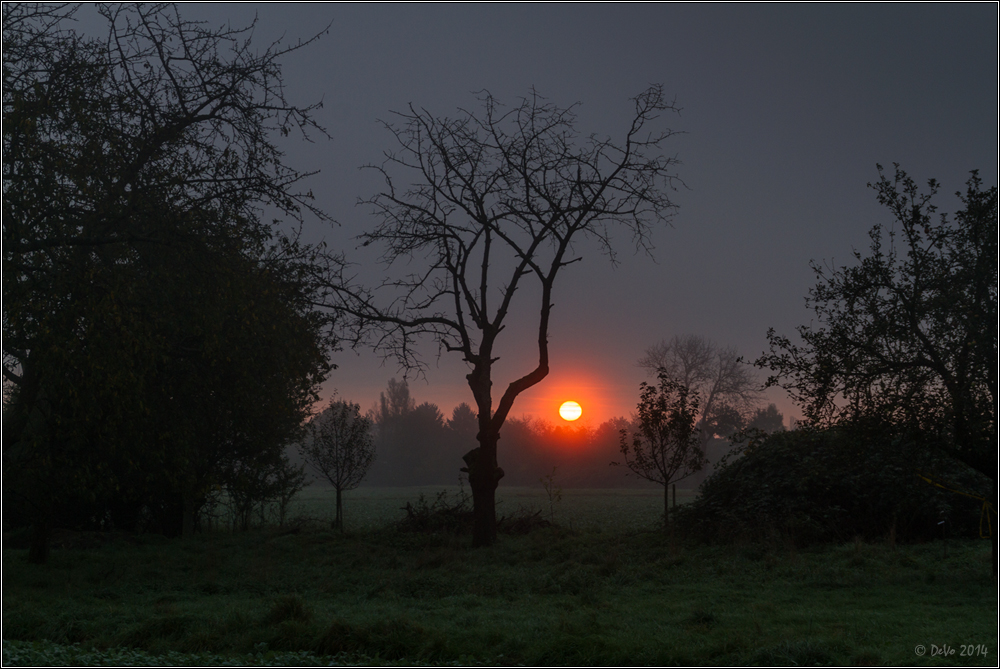 Herbstmorgen