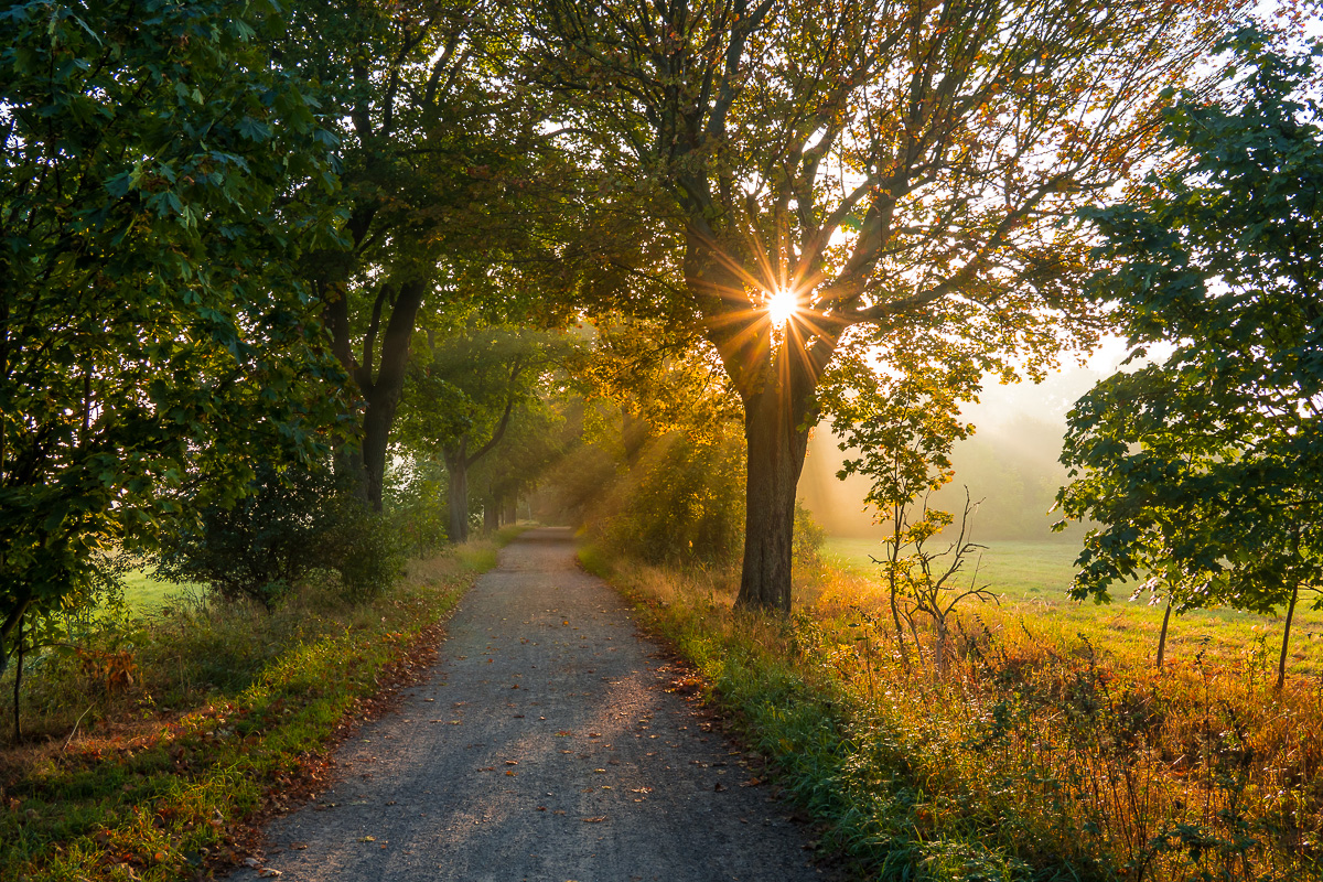 Herbstmorgen