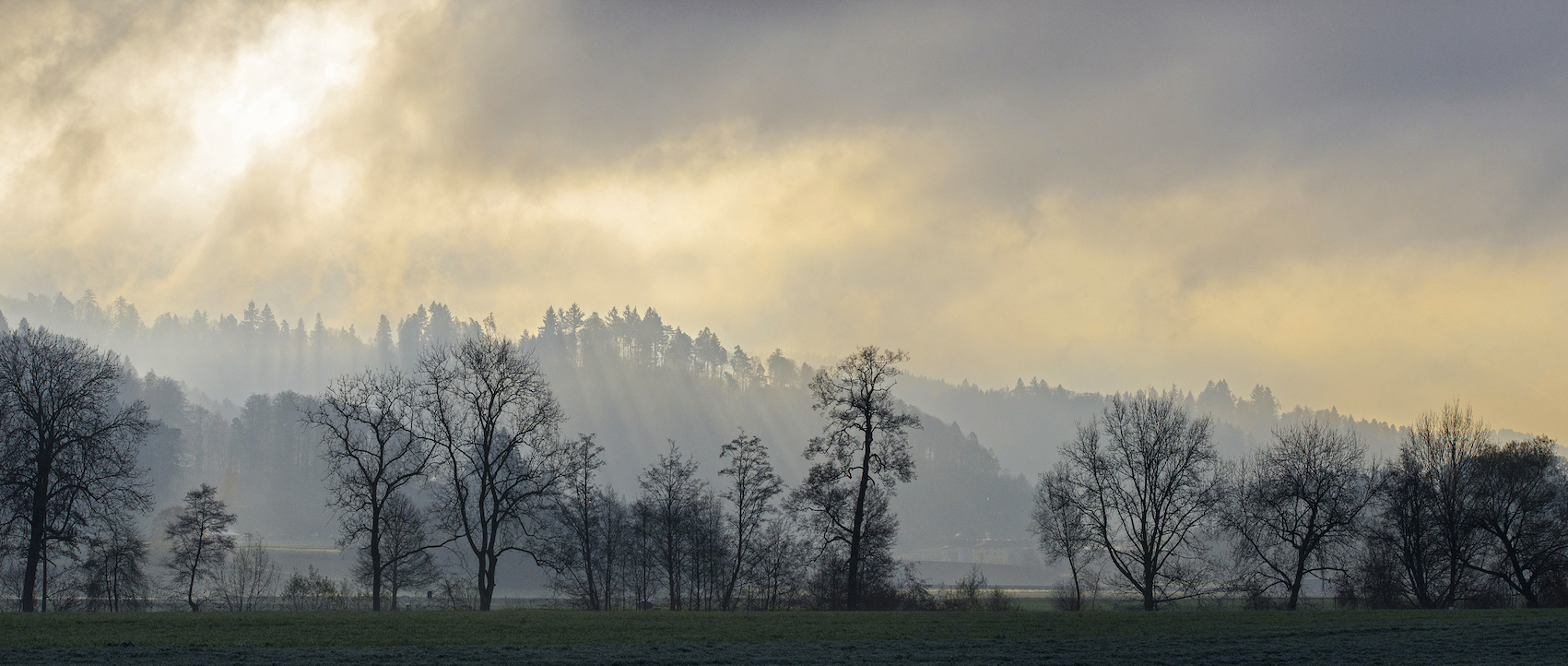 herbstmorgen