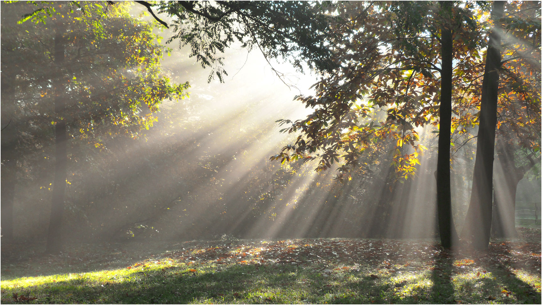 Herbstmorgen