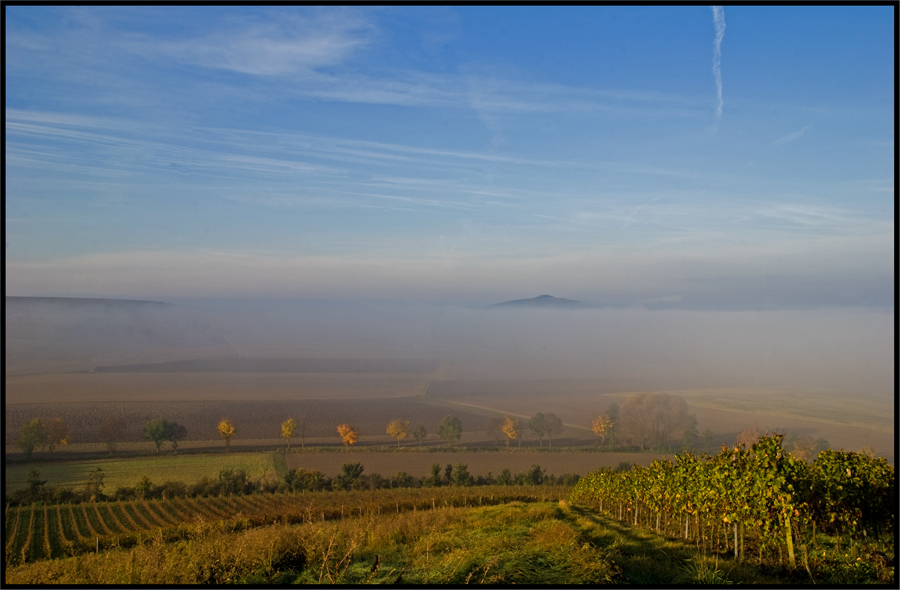 Herbstmorgen