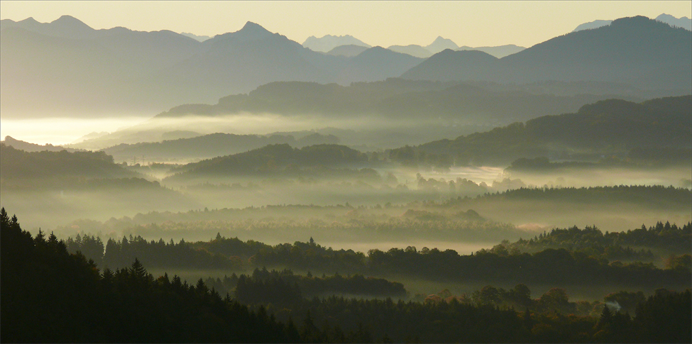 Herbstmorgen