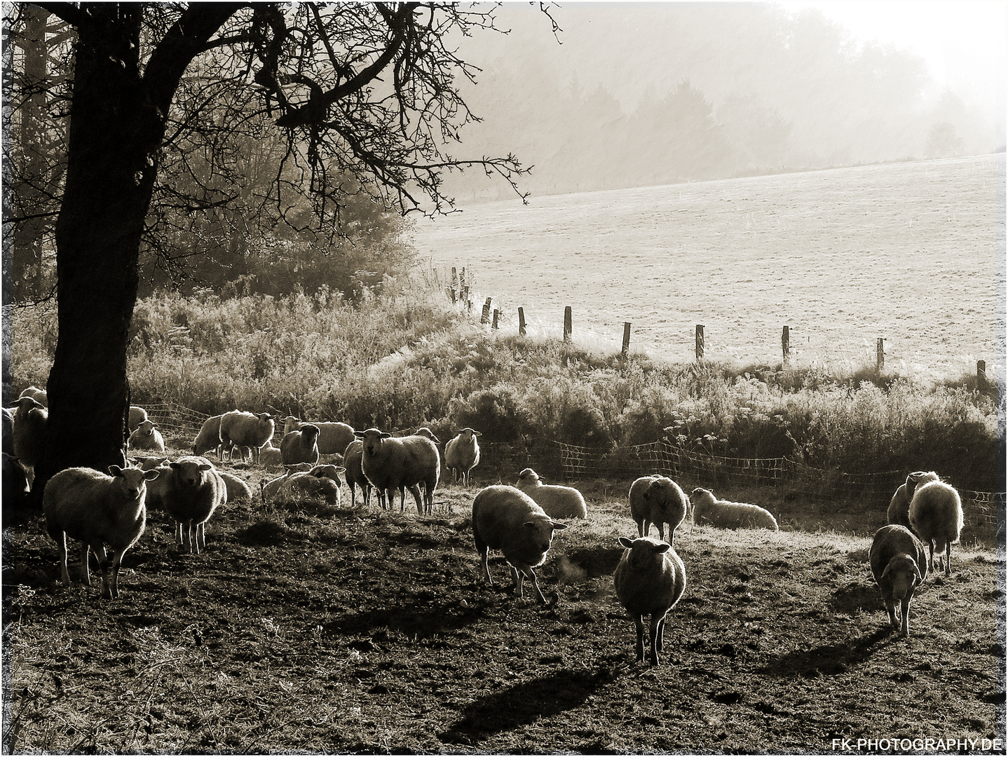 [ Herbstmorgen ]