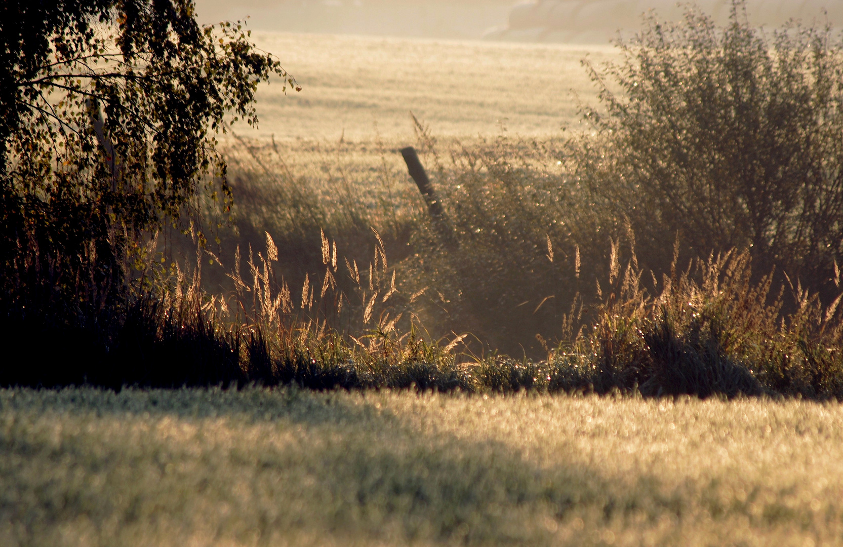 Herbstmorgen.........