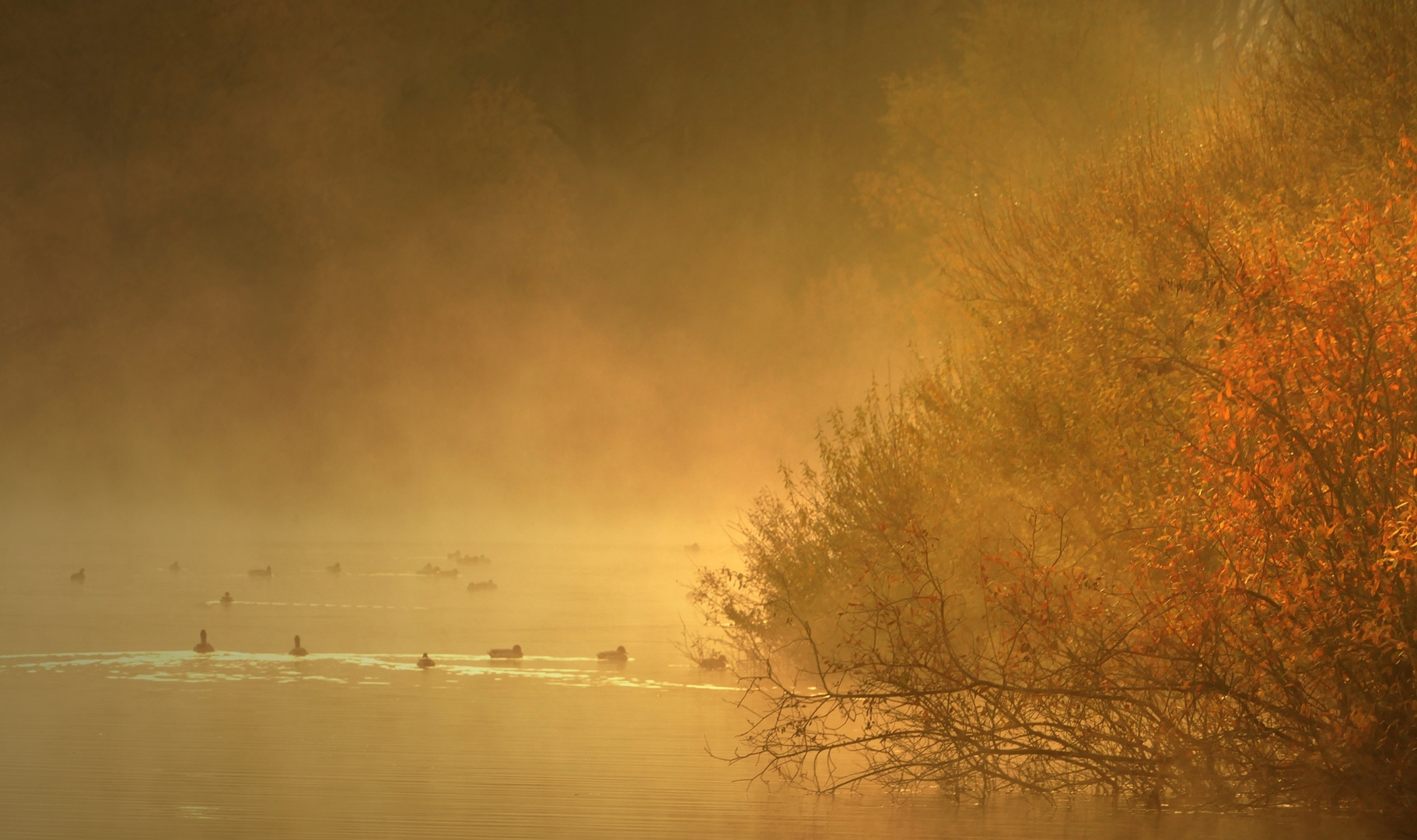 Herbstmorgen 