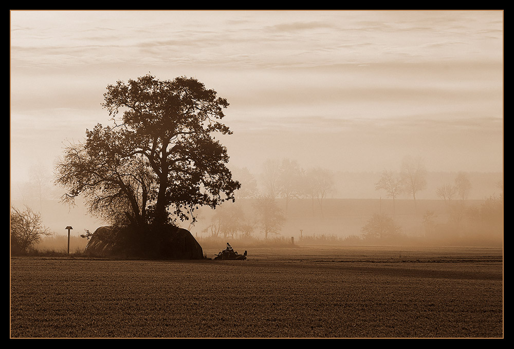 Herbstmorgen