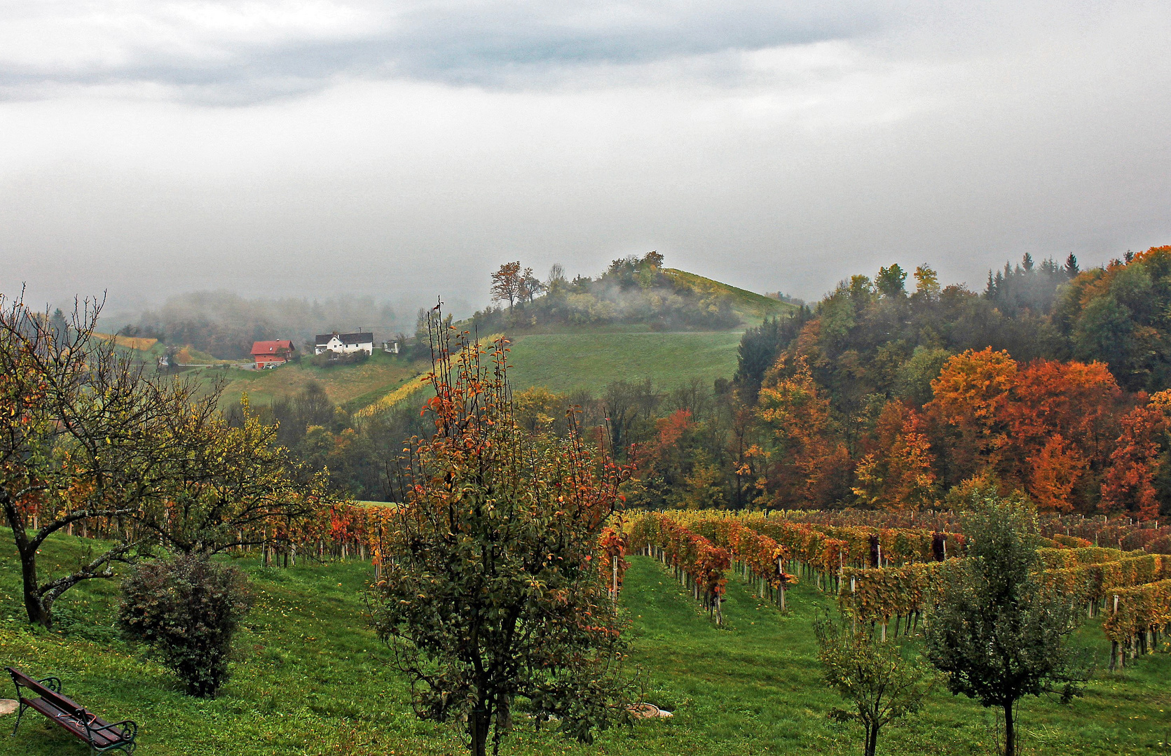 Herbstmorgen