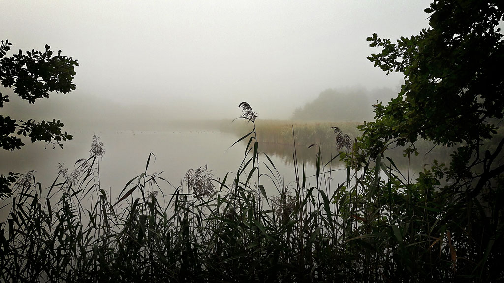 Herbstmorgen