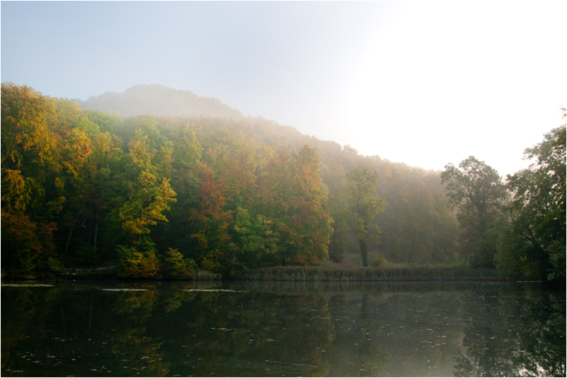 Herbstmorgen