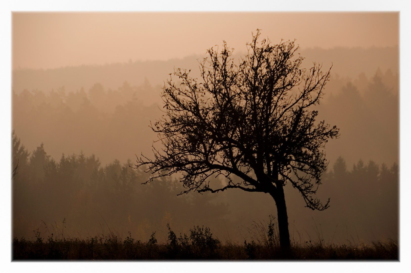 Herbstmorgen