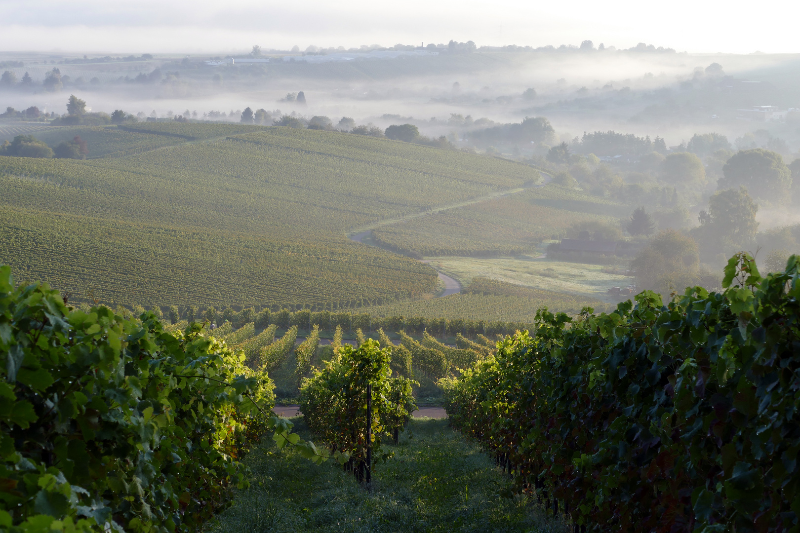 Herbstmorgen