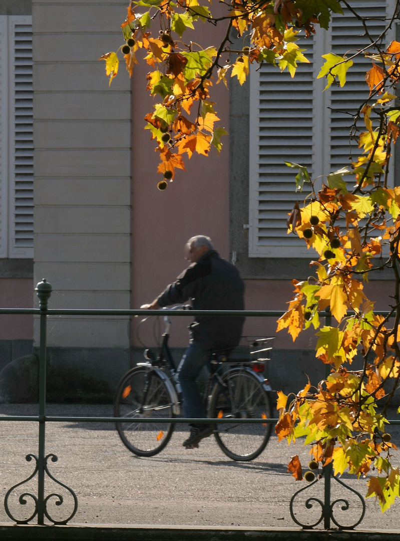 Herbstmorgen . . .