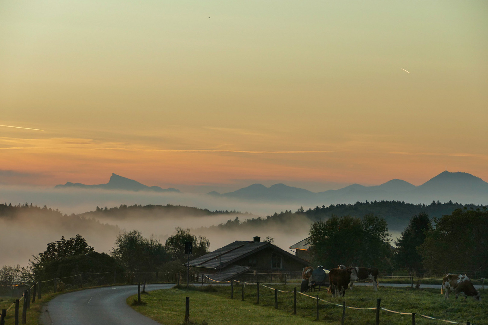 Herbstmorgen...