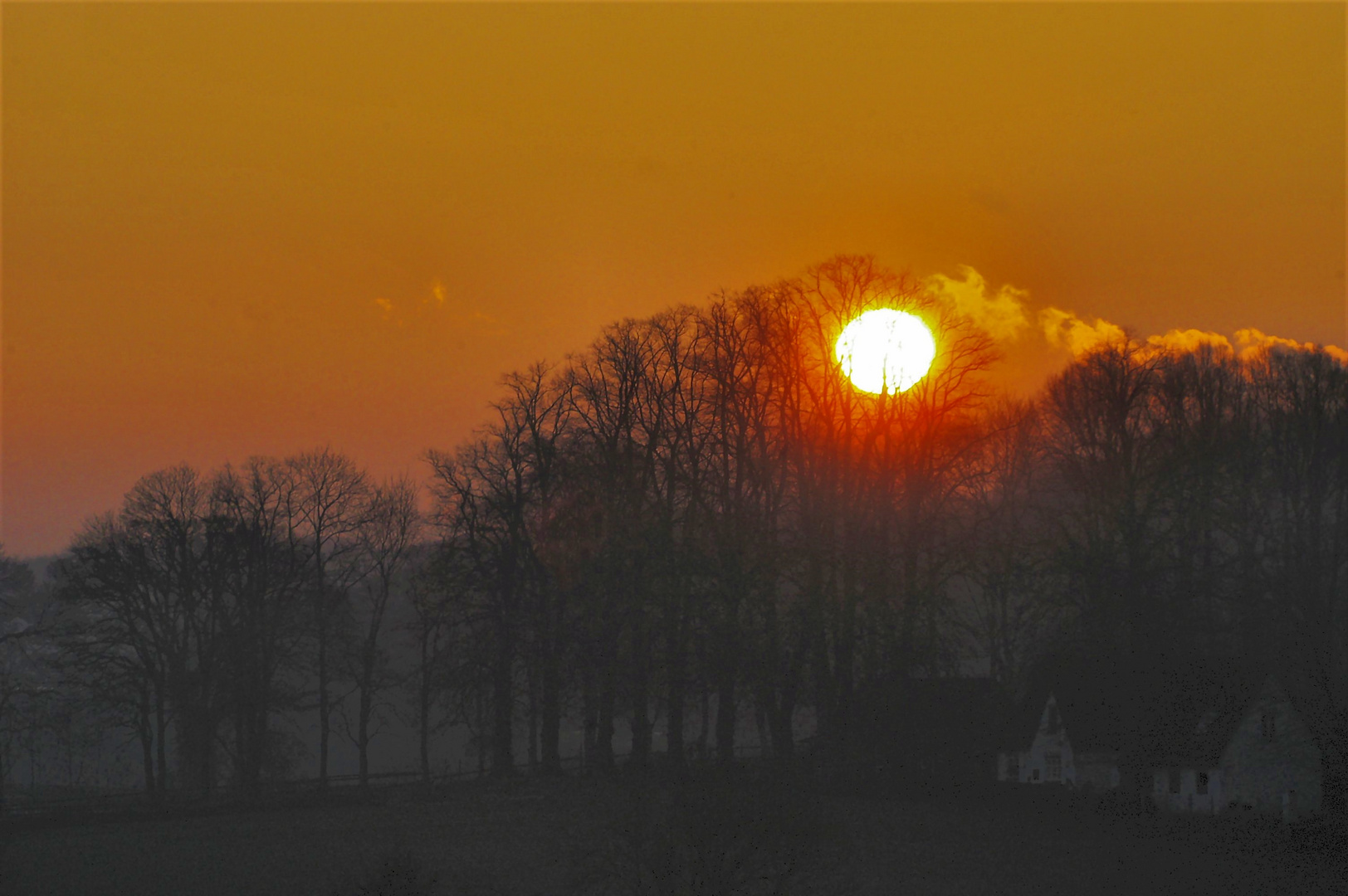 Herbstmorgen