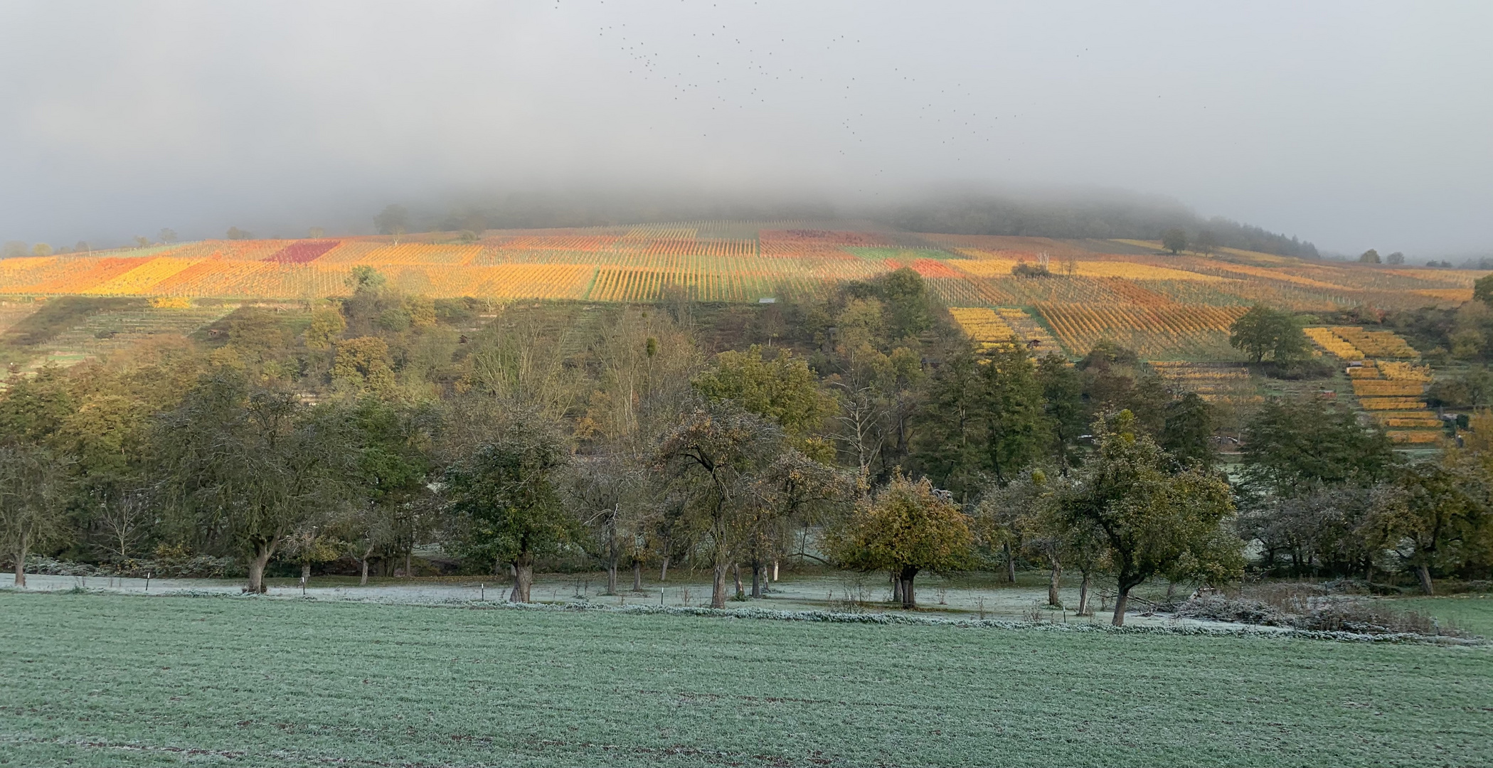 Herbstmorgen