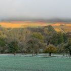 Herbstmorgen