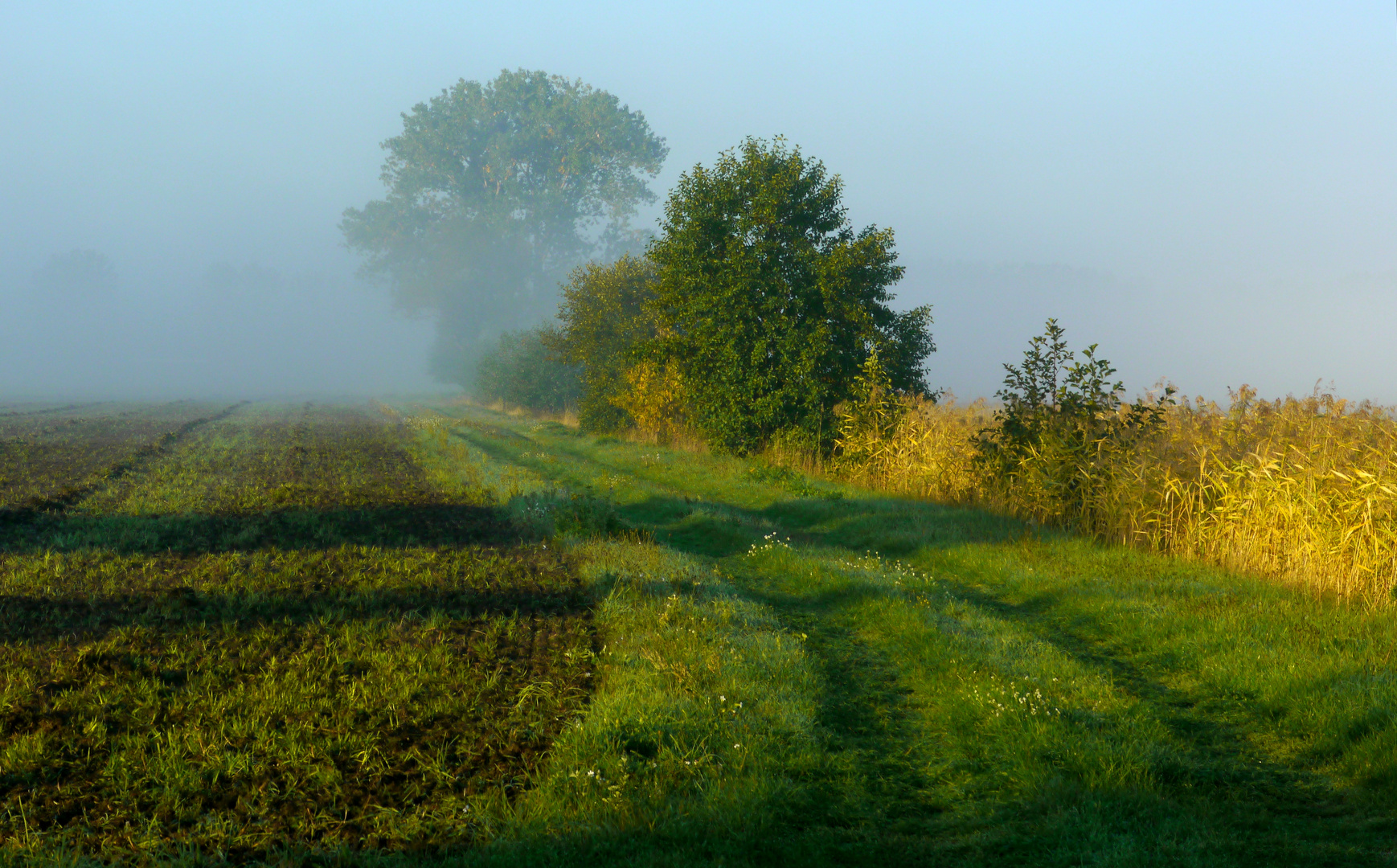 Herbstmorgen