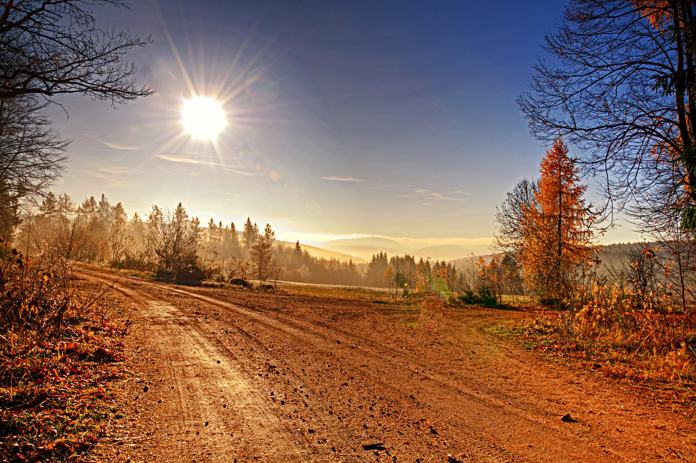 Herbstmorgen