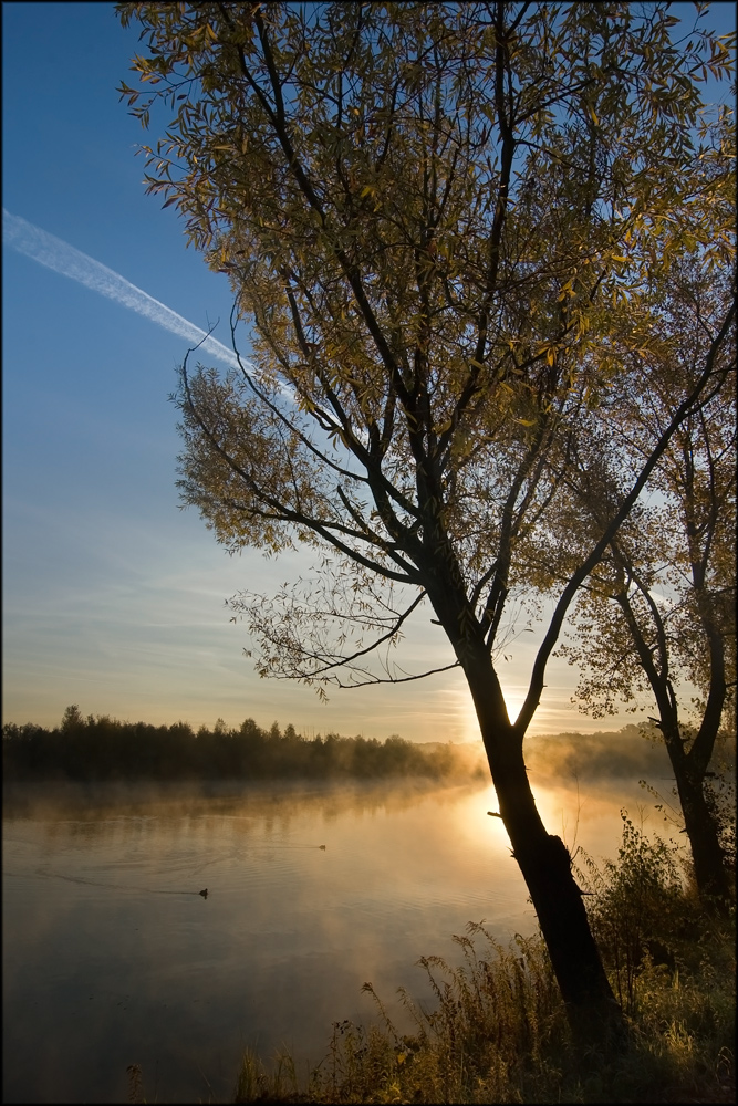 Herbstmorgen