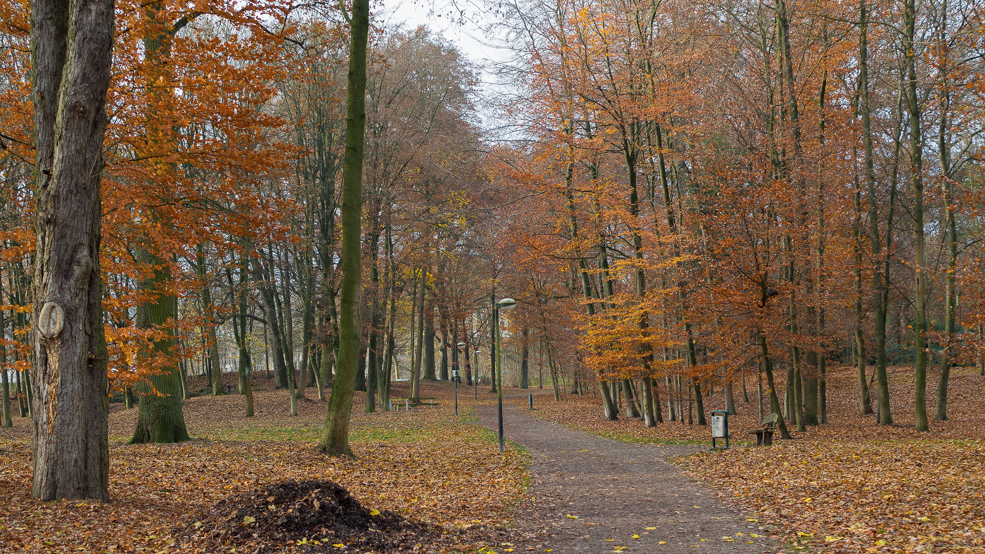 Herbstmorgen