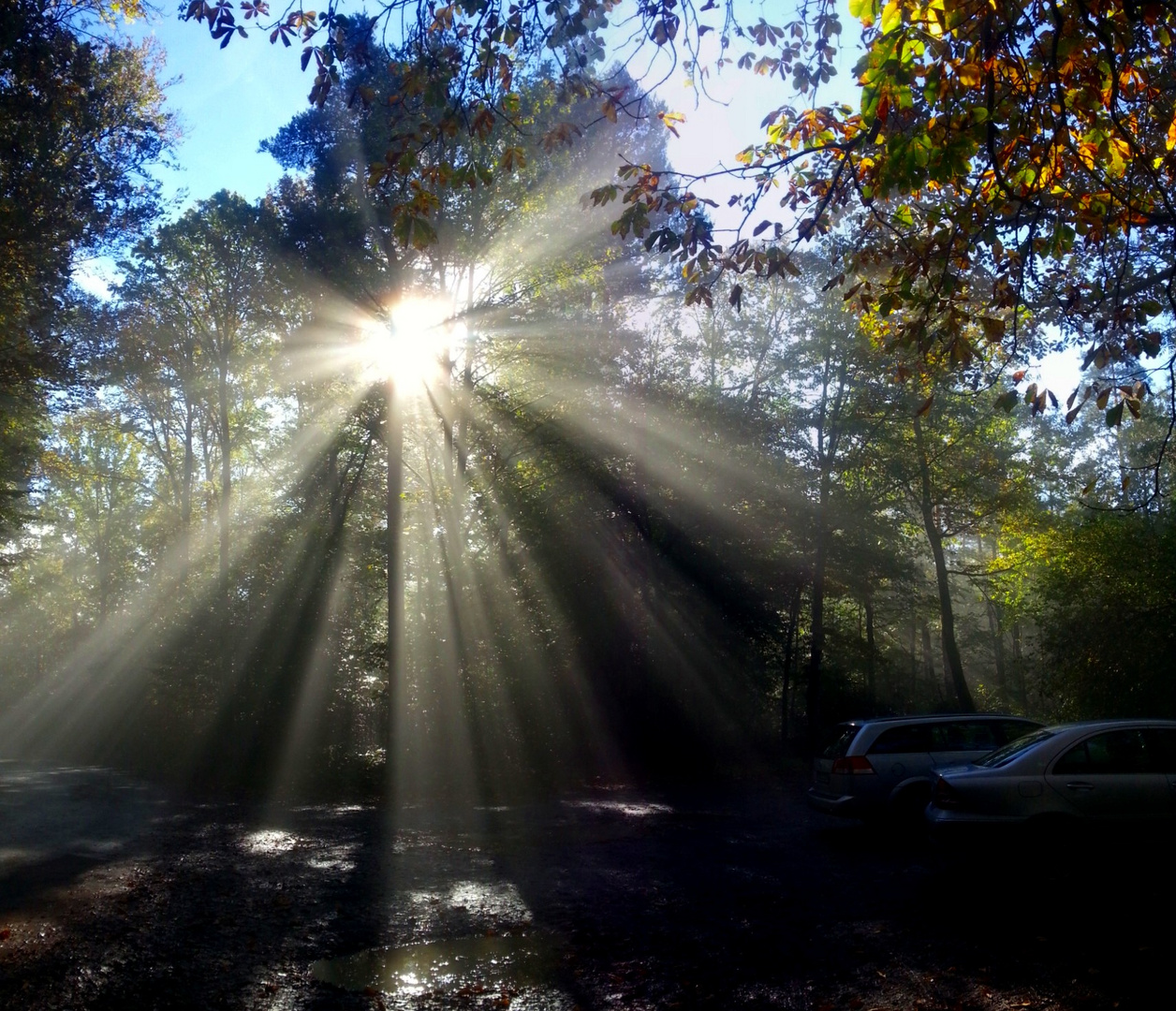 Herbstmorgen