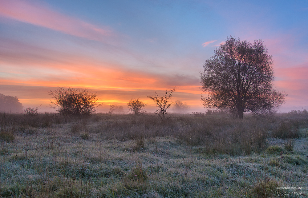 Herbstmorgen