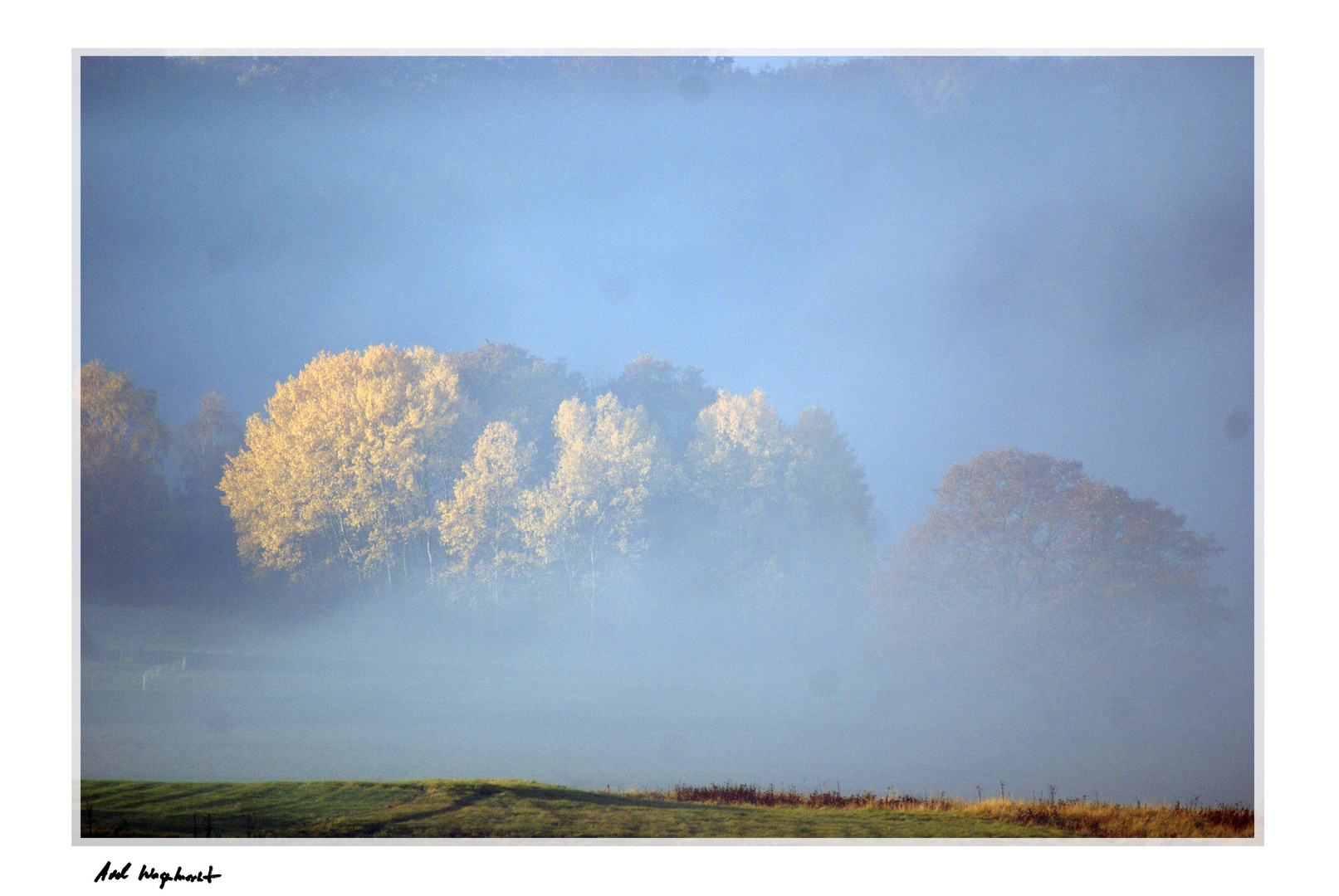 Herbstmorgen