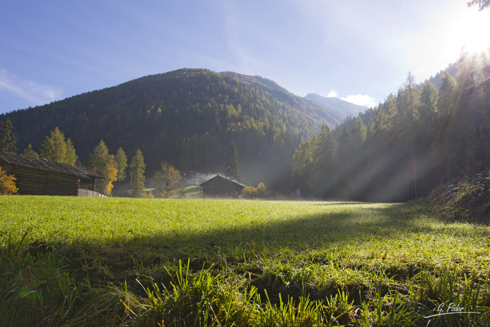 Herbstmorgen