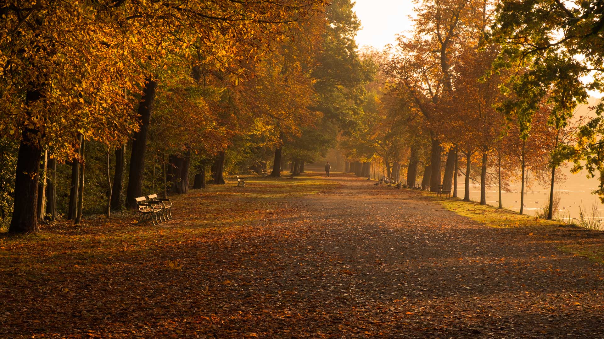 Herbstmorgen