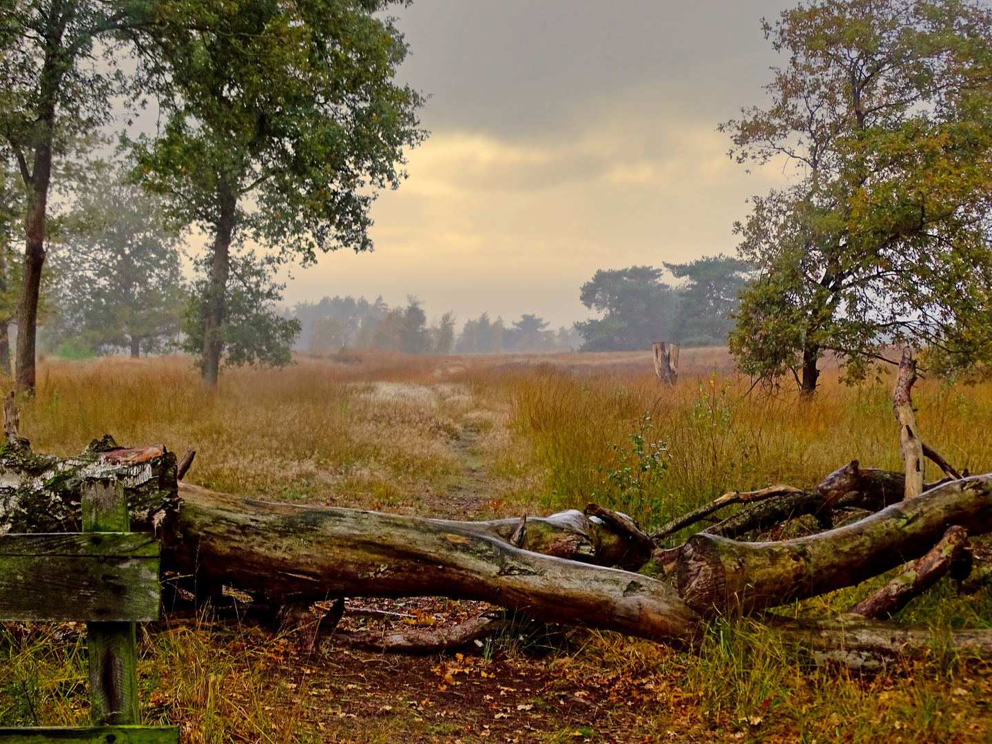 Herbstmorgen