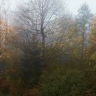 Herbstmorgen