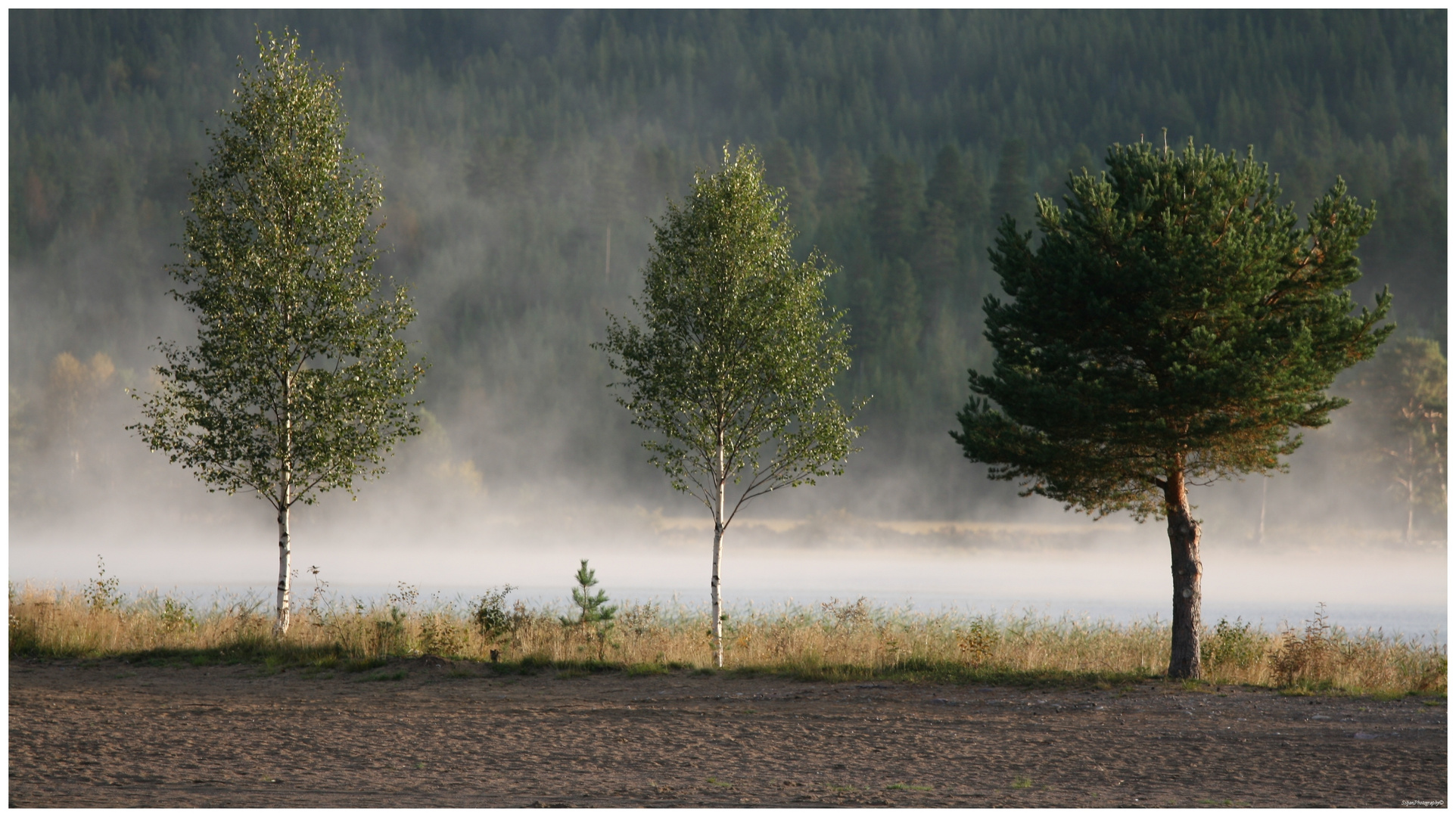 Herbstmorgen...