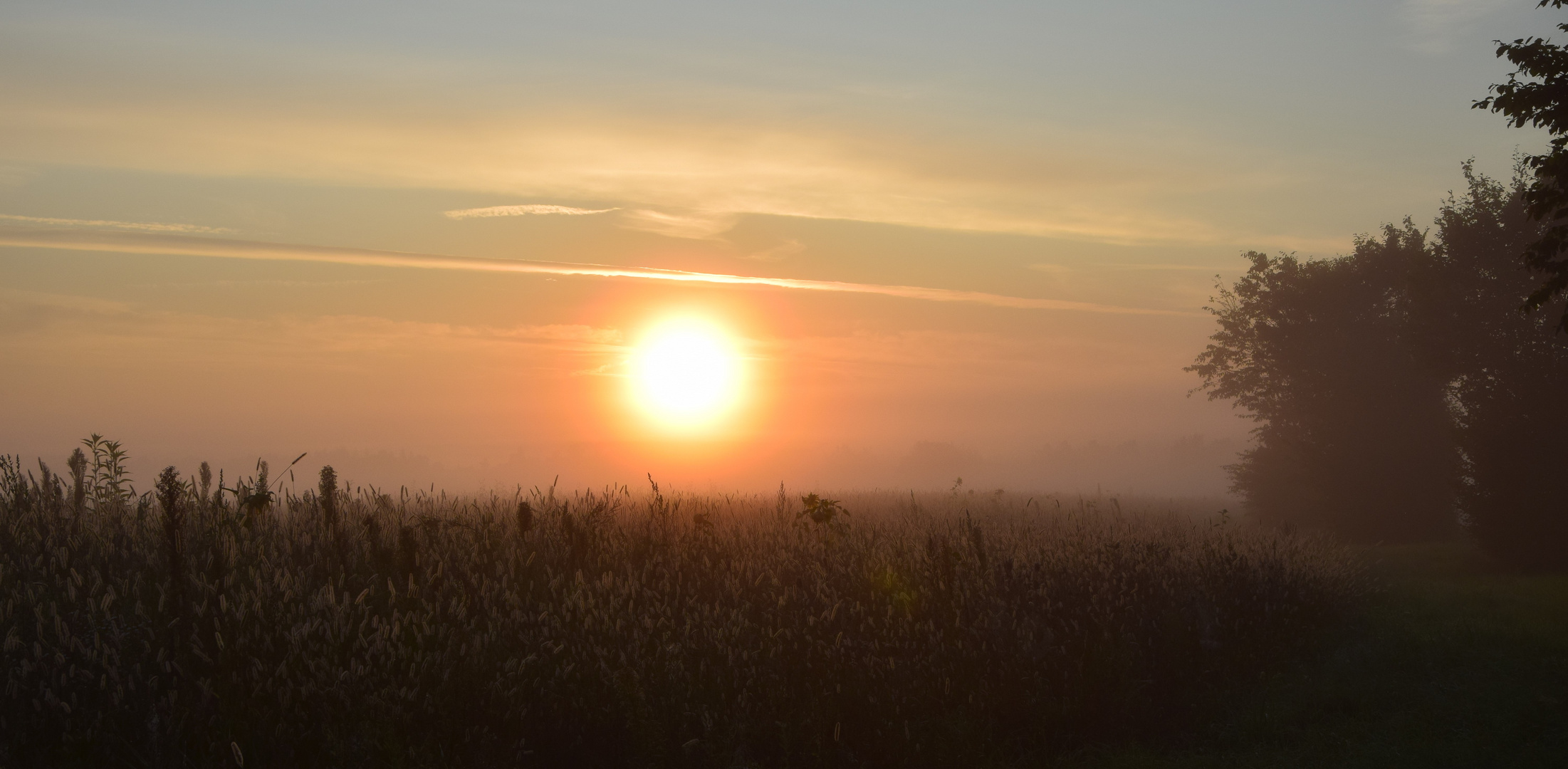 Herbstmorgen