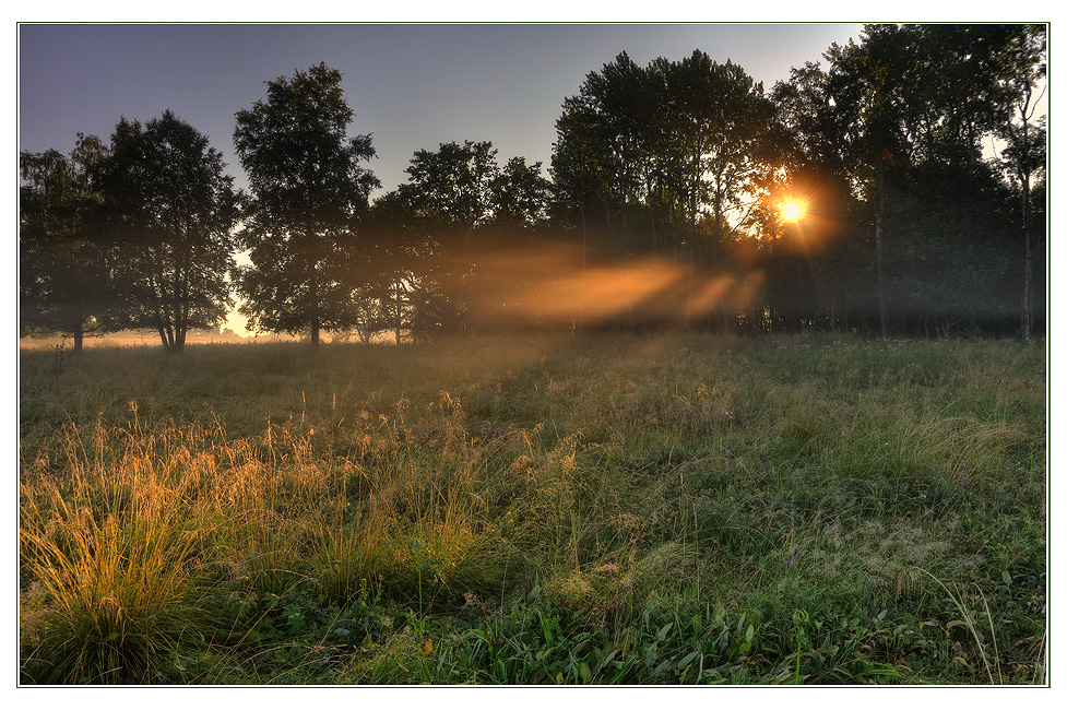 Herbstmorgen