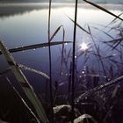 Herbstmorgen am Baggersee