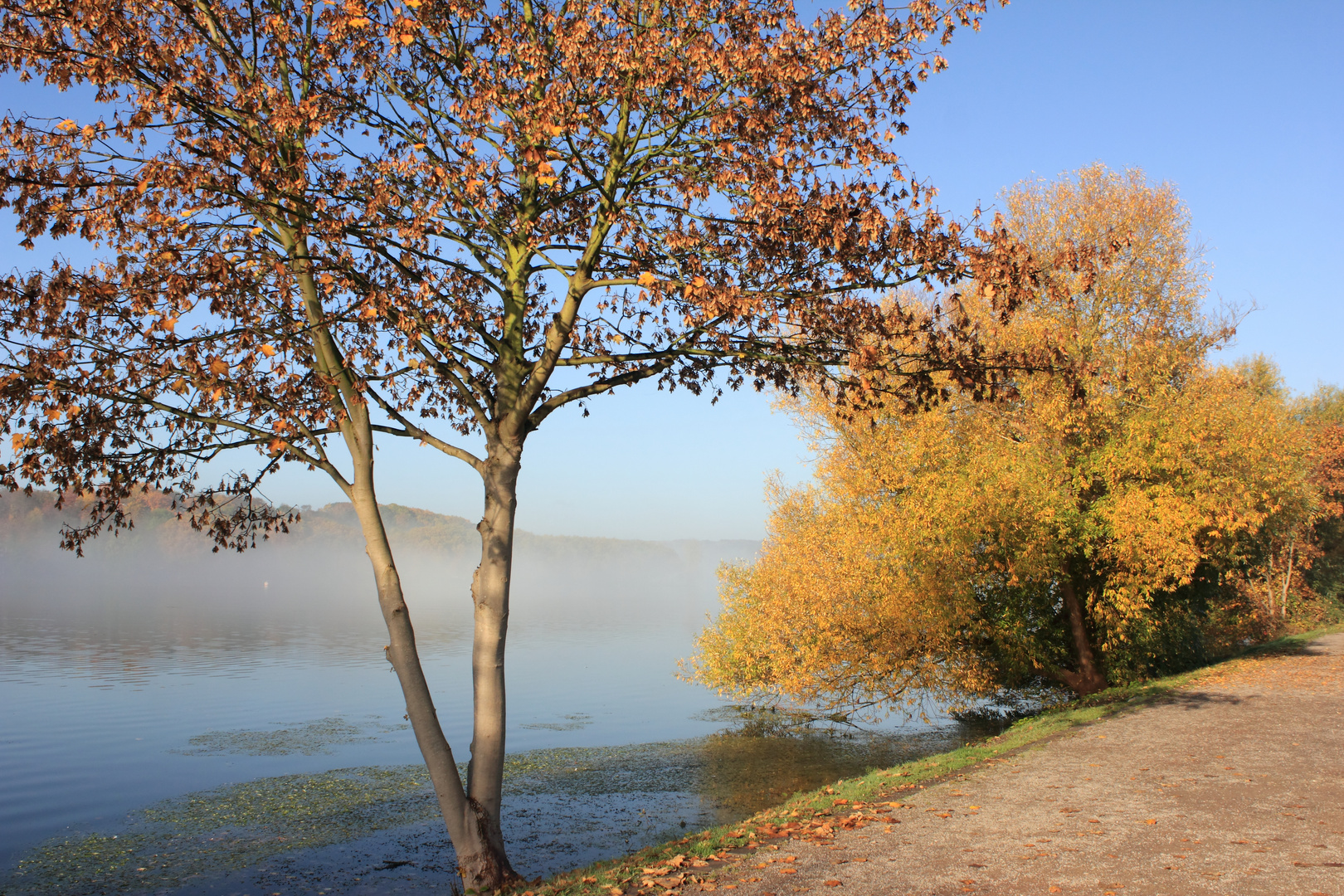 Herbstmorgen am Baldeneysee in Essen