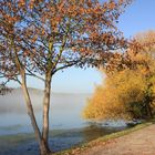 Herbstmorgen am Baldeneysee in Essen