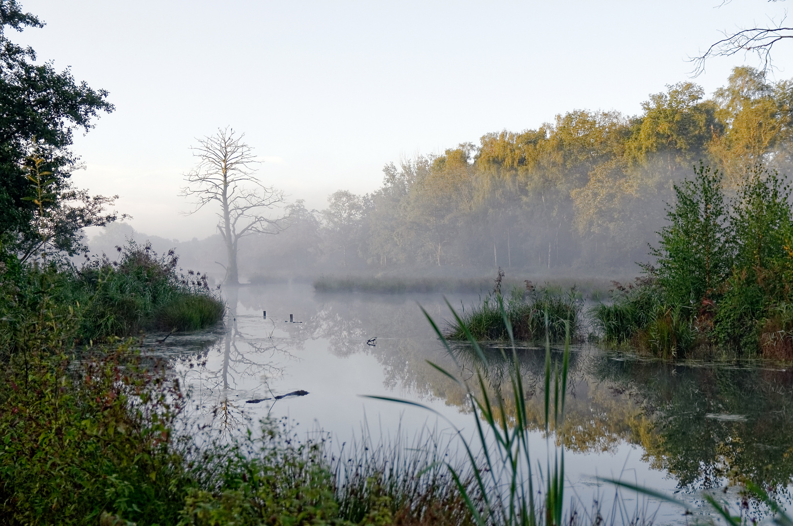 Herbstmorgen am Biotop