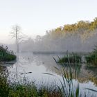 Herbstmorgen am Biotop