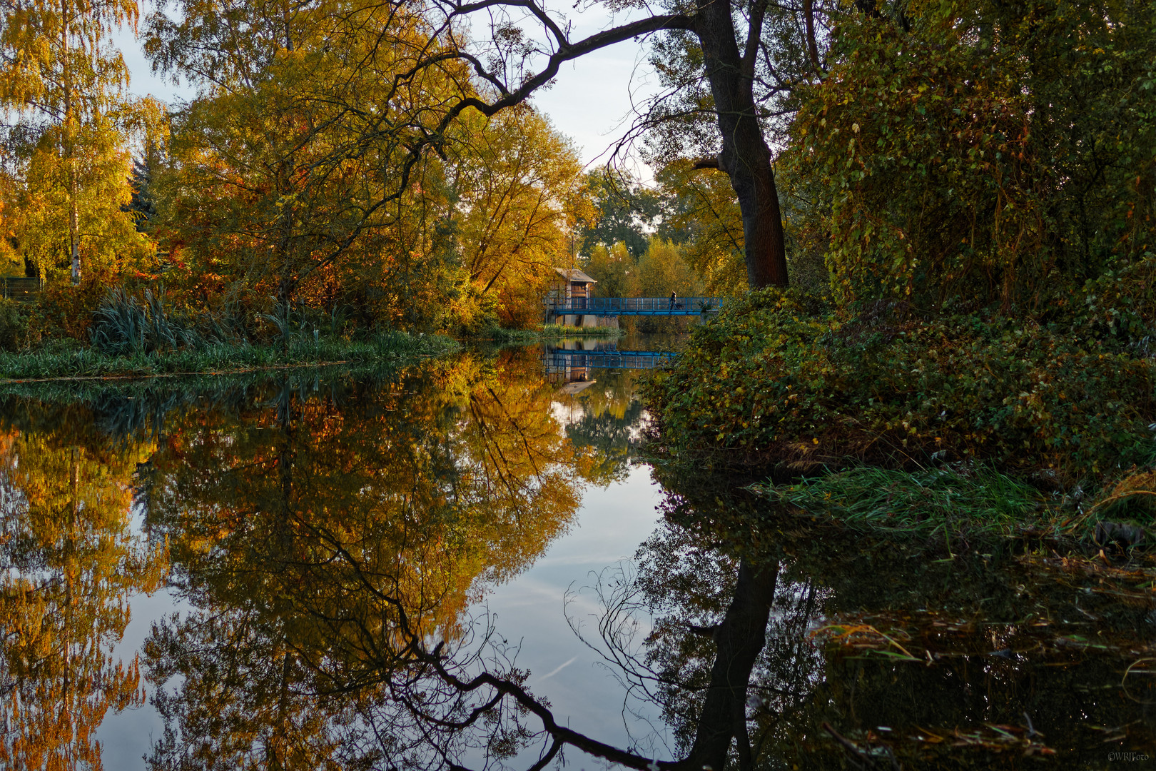 Herbstmorgen am Bodewehr